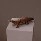 Terracotta salamandar
