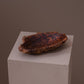 Shallow thuya burl dish