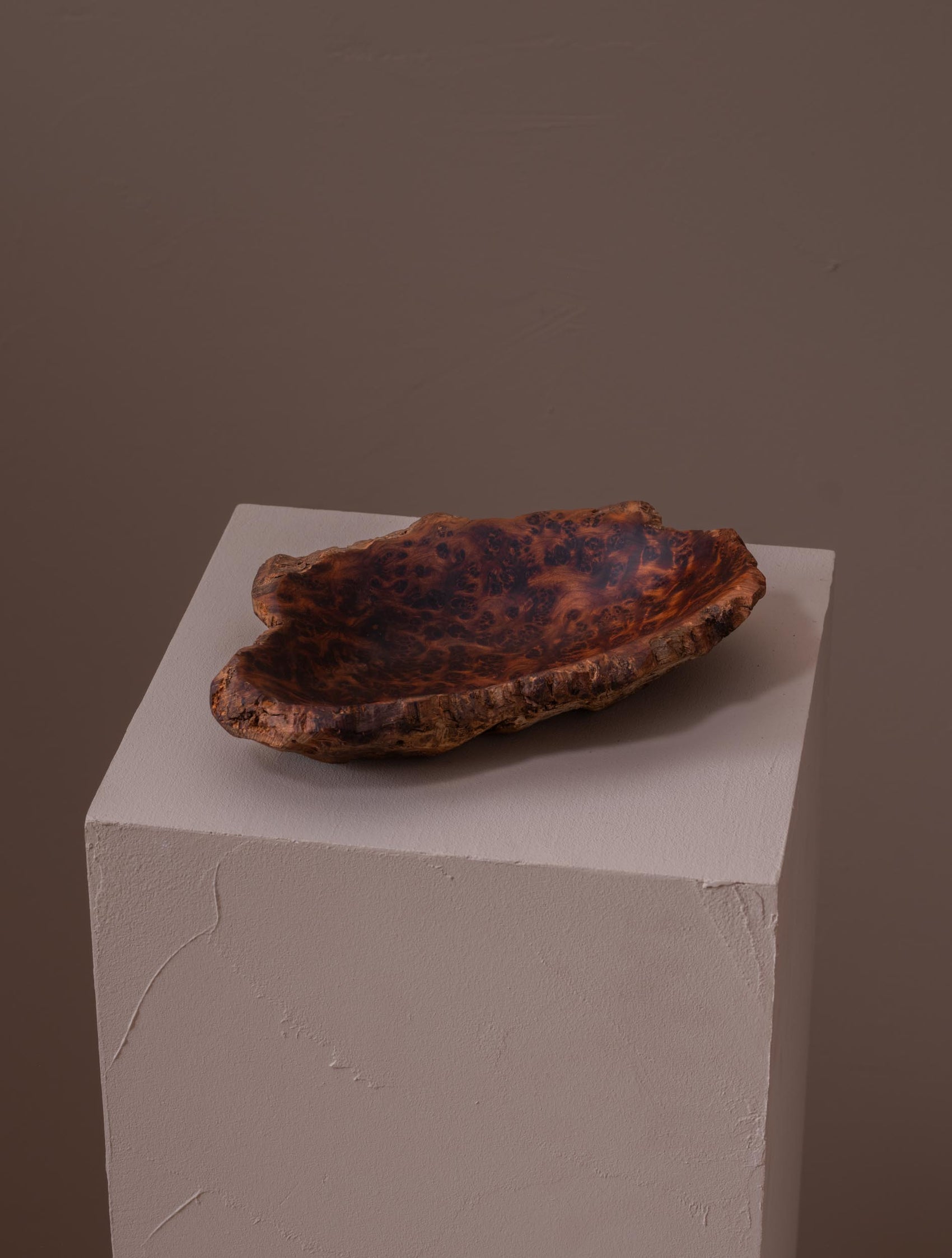 Shallow thuya burl dish