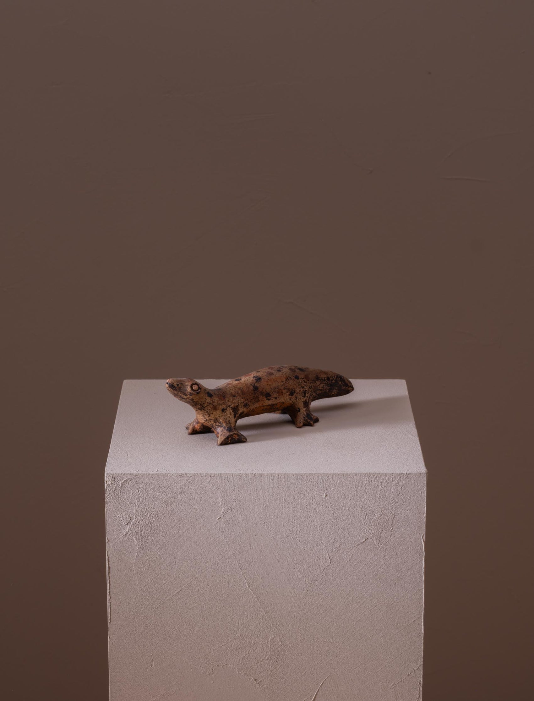 Terracotta salamandar